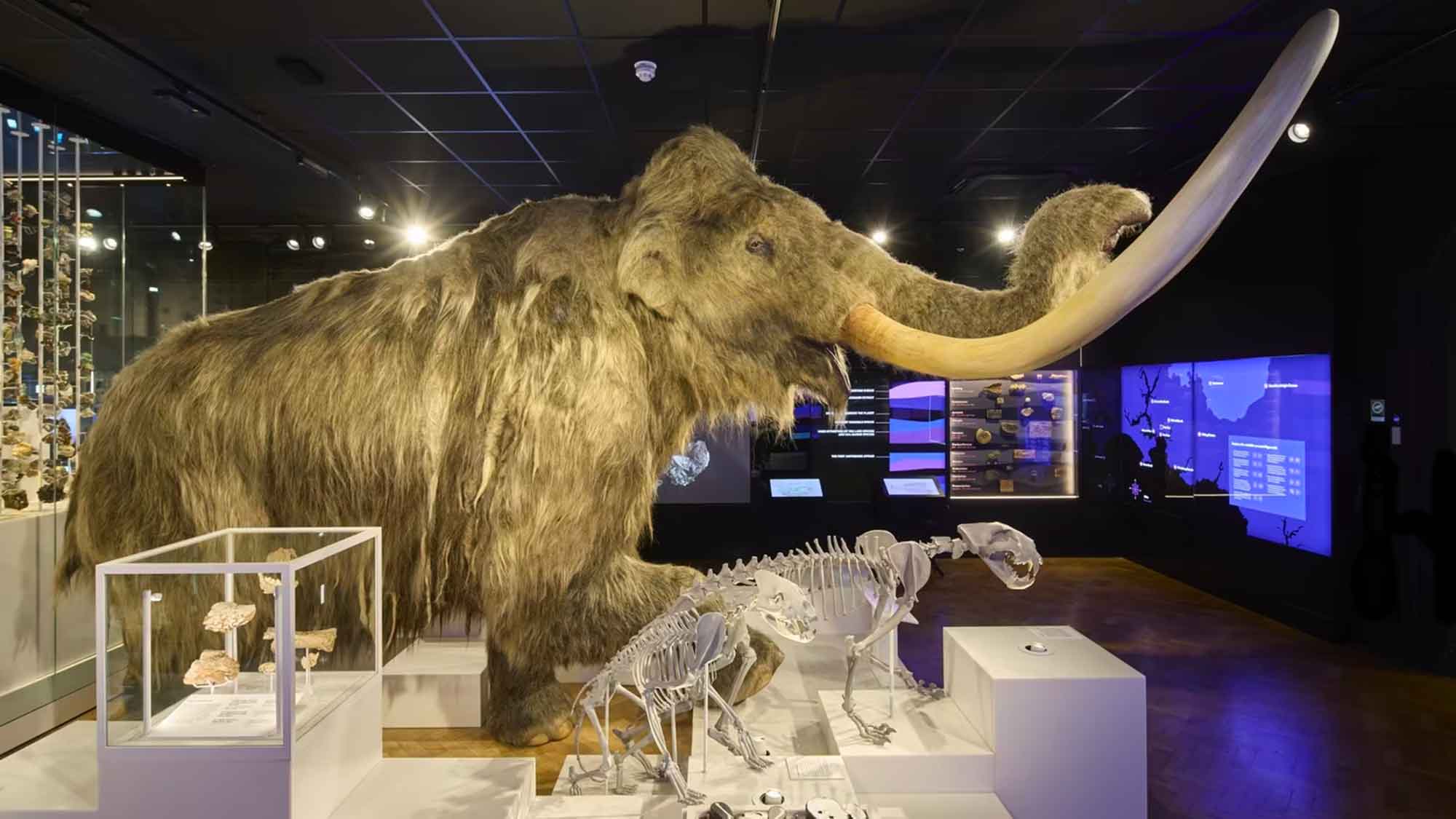 Art Fund Museum of the Year 2026: Five Ways the UK Is Rewriting the Museum Experience